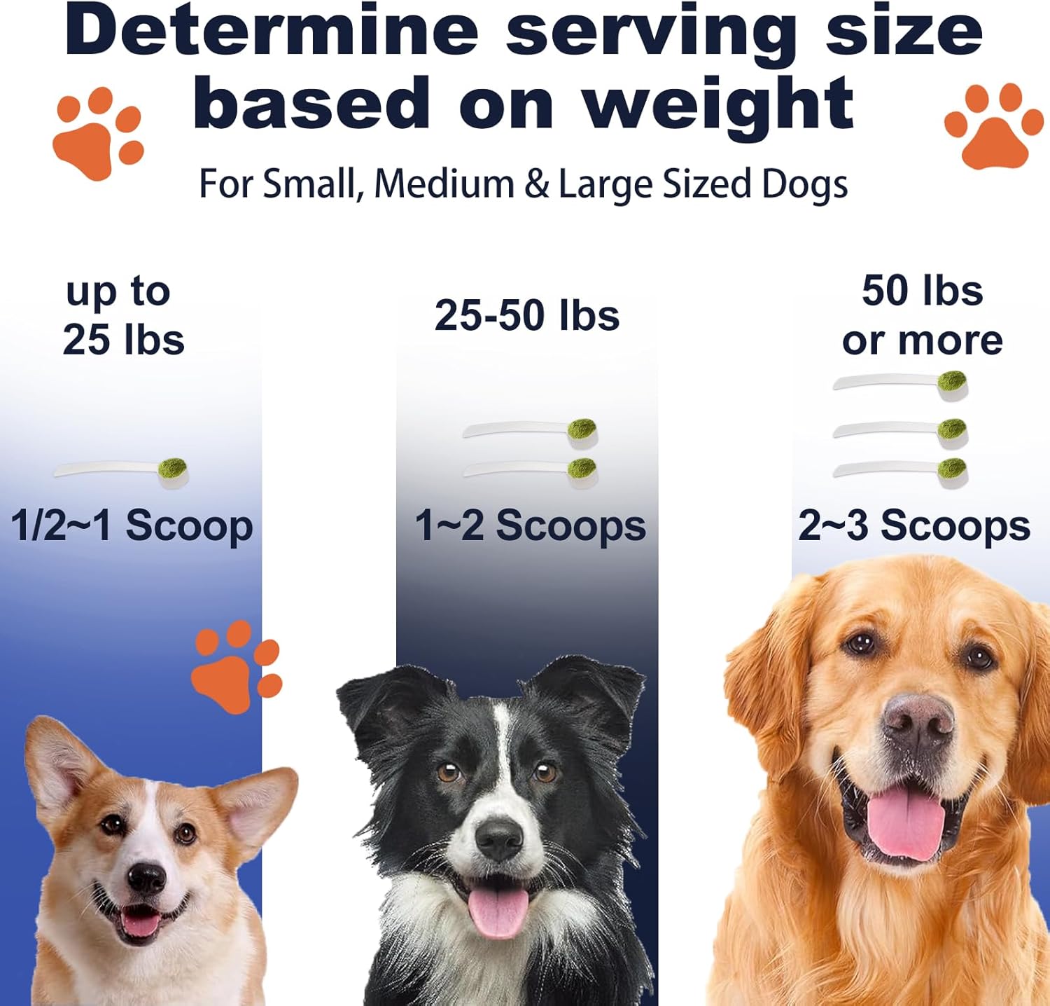 Serving size chart